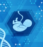 בדיקות גנטיות במי שפיר: מה עושים כשהתשובה אינה חד משמעית?-תמונה